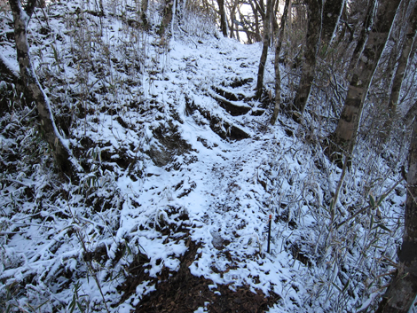 20191129hike (504)